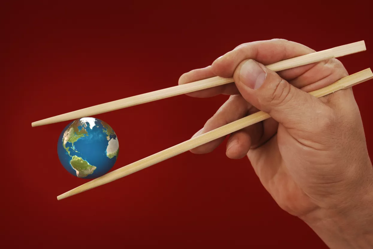 Višnja Starešina: Europa bez prave obrane od kineskih ekonomskih osvajača