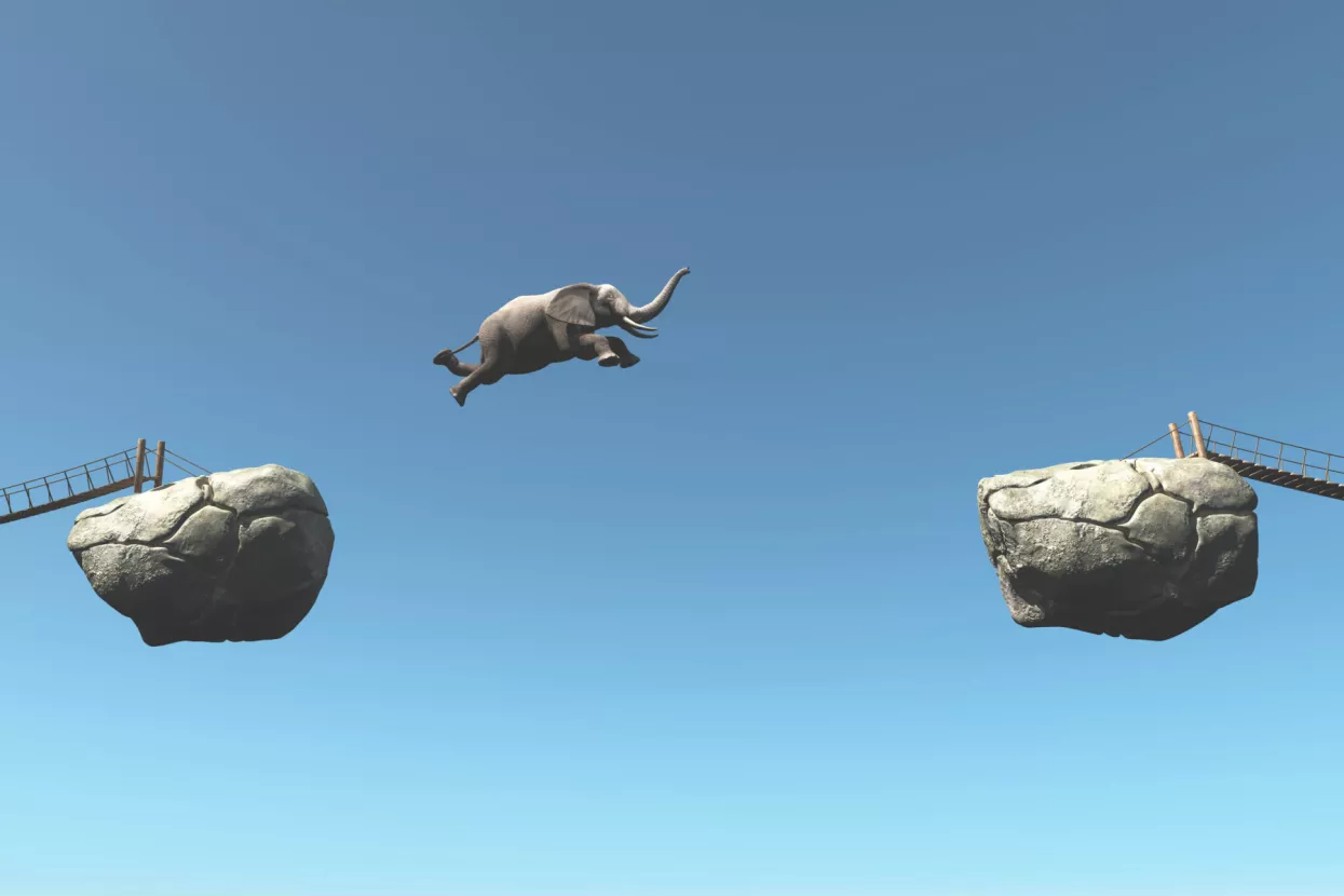 Korona drumom, oni šumom brzih inovacija