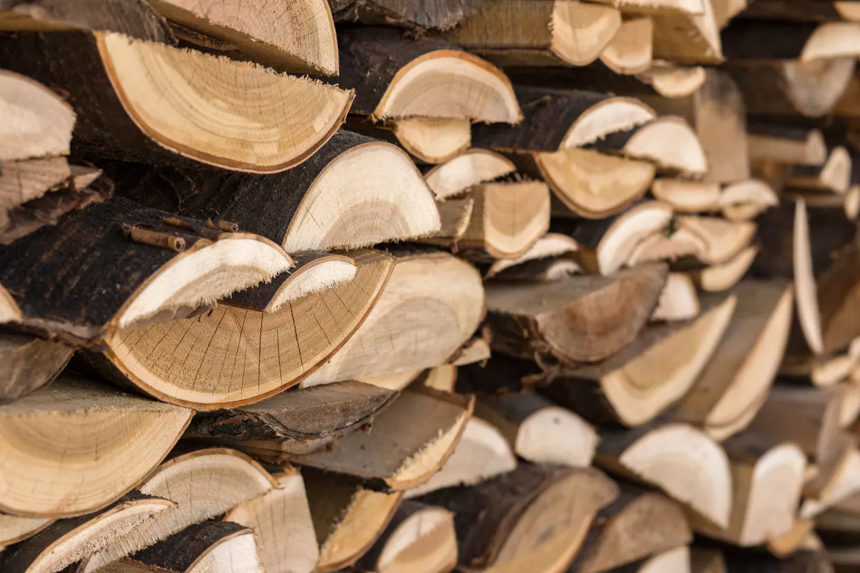 Otvoren natječaj za potpore drvoprerađivačima na potresom pogođenim područjima