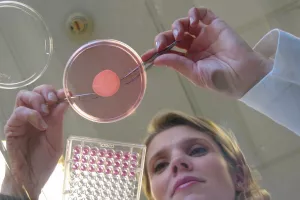 L&rsquo;Oréal predstavio svoju zelenu viziju ljepote u budućnosti