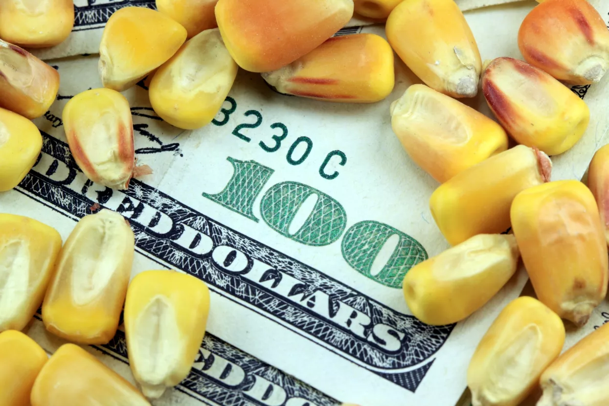 SVJETSKO TRŽI&Scaron;TE ROBA: Cijene su dosegnule najvi&scaron;e razine