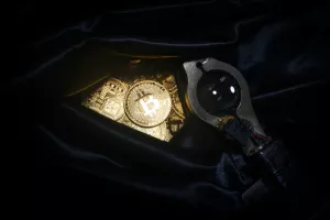 Ove četiri države svoje su bitcoine stekle zapljenom putem kriminalističkih istraga