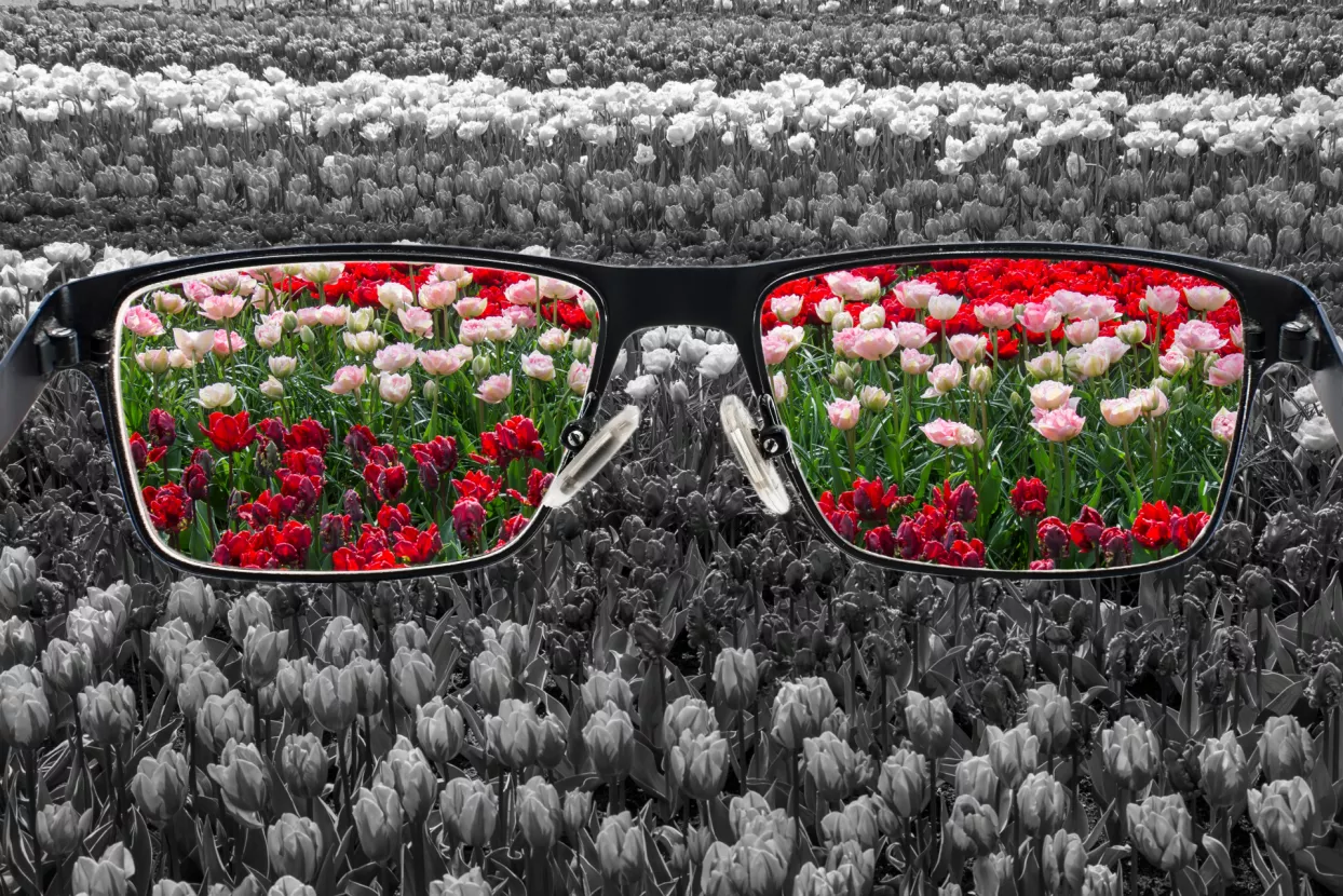 Optimizam na vidiku - Stiže nam majka svih ekonomskih oporavaka