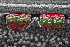 Optimizam na vidiku - Stiže nam majka svih ekonomskih oporavaka