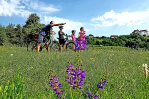 Pandemijski turizam - Lakše je kad se radi 365 dana u godini