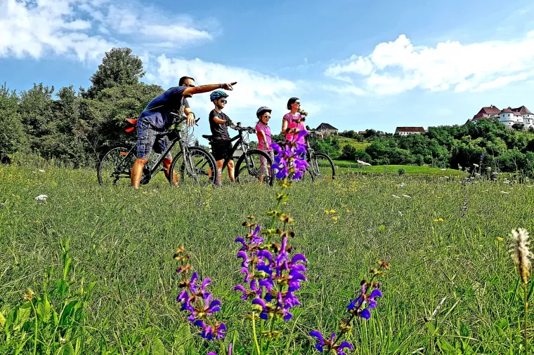 Pandemijski turizam - Lak&scaron;e je kad se radi 365 dana u godini