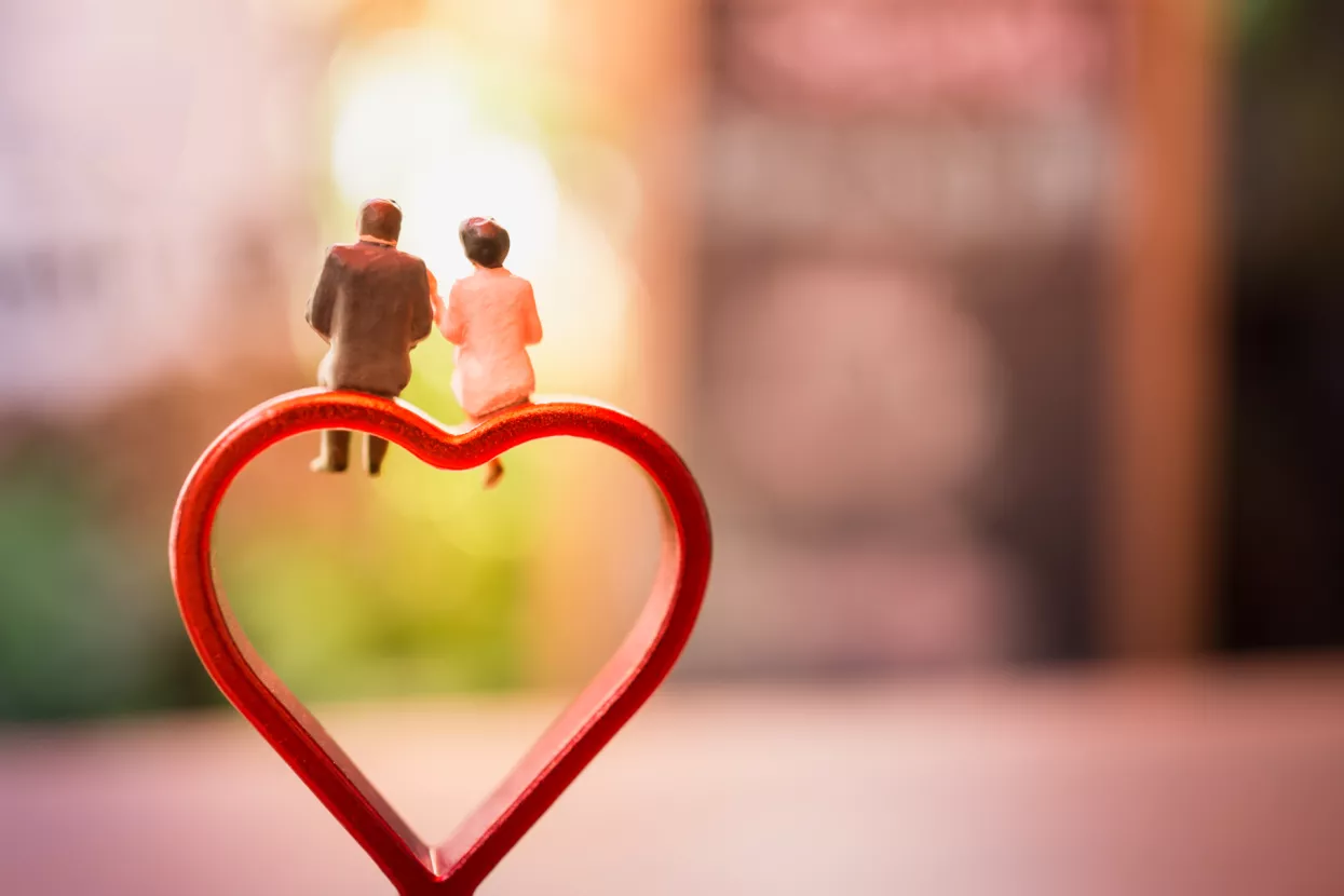 Edis Felić: A ja naivno mislio da muž i žena mogu biti u sukobu interesa!