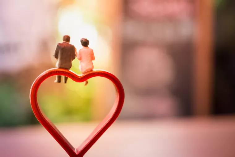 Edis Felić: A ja naivno mislio da muž i žena mogu biti u sukobu interesa!