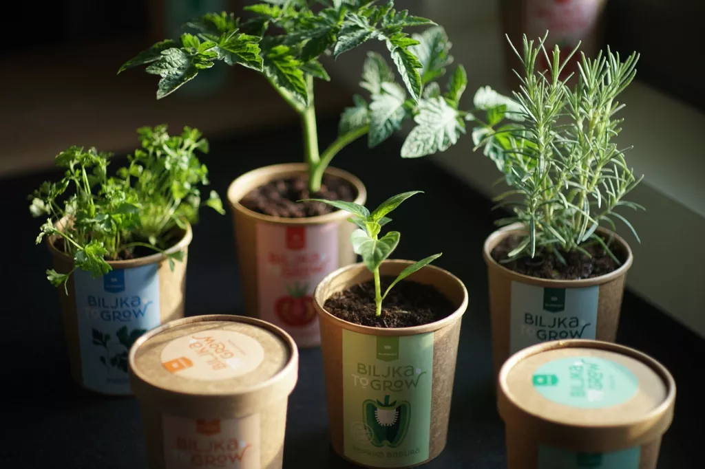 Iskonovci i Biljkoborci ujedinili snage na Dan planeta Zemlje