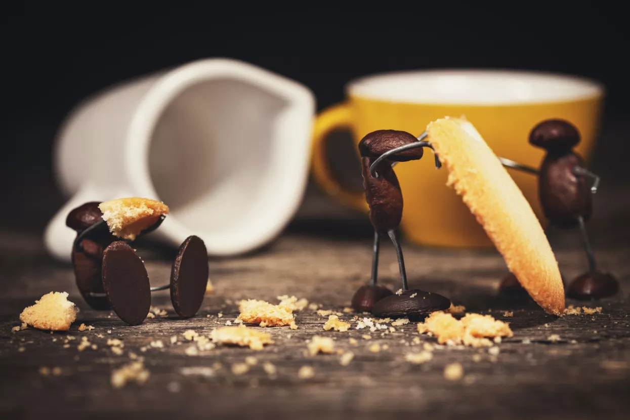 POST-COOKIE ERA - Bljutavi svijet bez kolačića