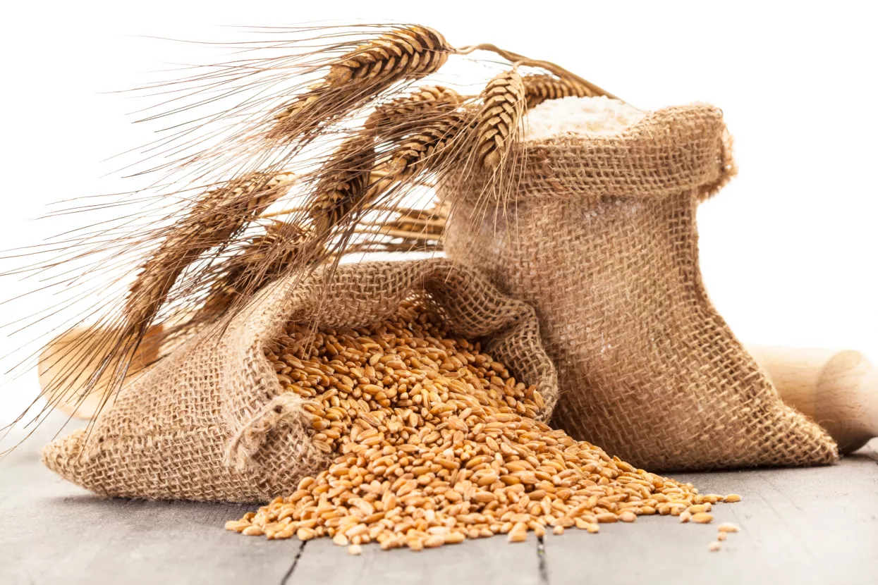 Invest Agro: Trgovački sud odbacio prijedlog predstečaja zbog zatajenoga poreznog spora