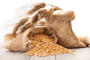 Invest Agro: Trgovački sud odbacio prijedlog predstečaja zbog zatajenoga poreznog spora