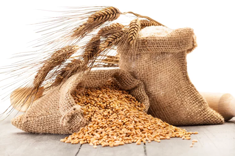 Invest Agro: Trgovački sud odbacio prijedlog predstečaja zbog zatajenoga poreznog spora