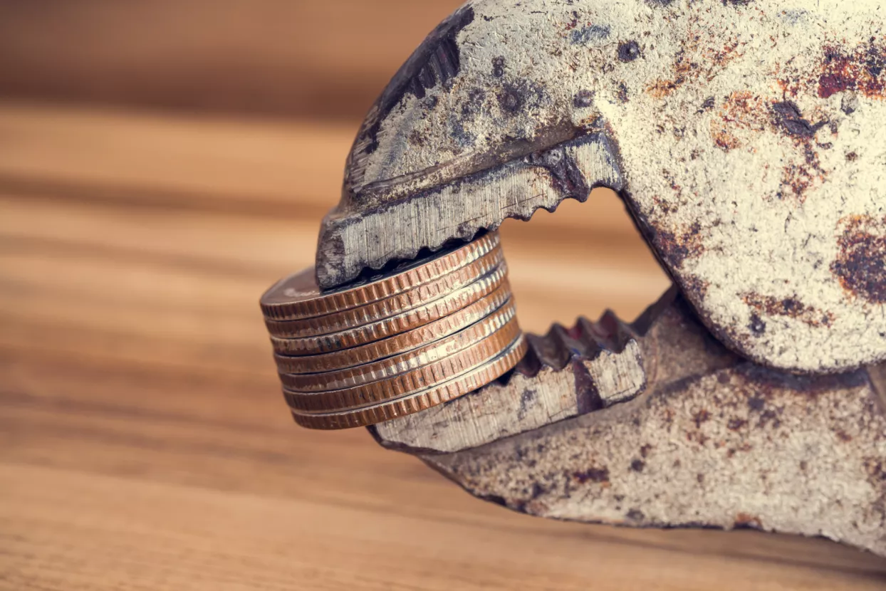 Miodrag Šajatović: Sve što (za početak) trebate znati o inflaciji