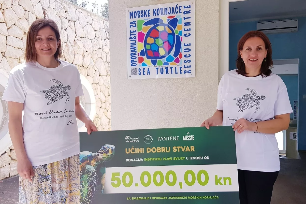Procter&amp;Gamble donirao 50 000 kuna oporavilištu za morske kornjače u Malom Lošinju