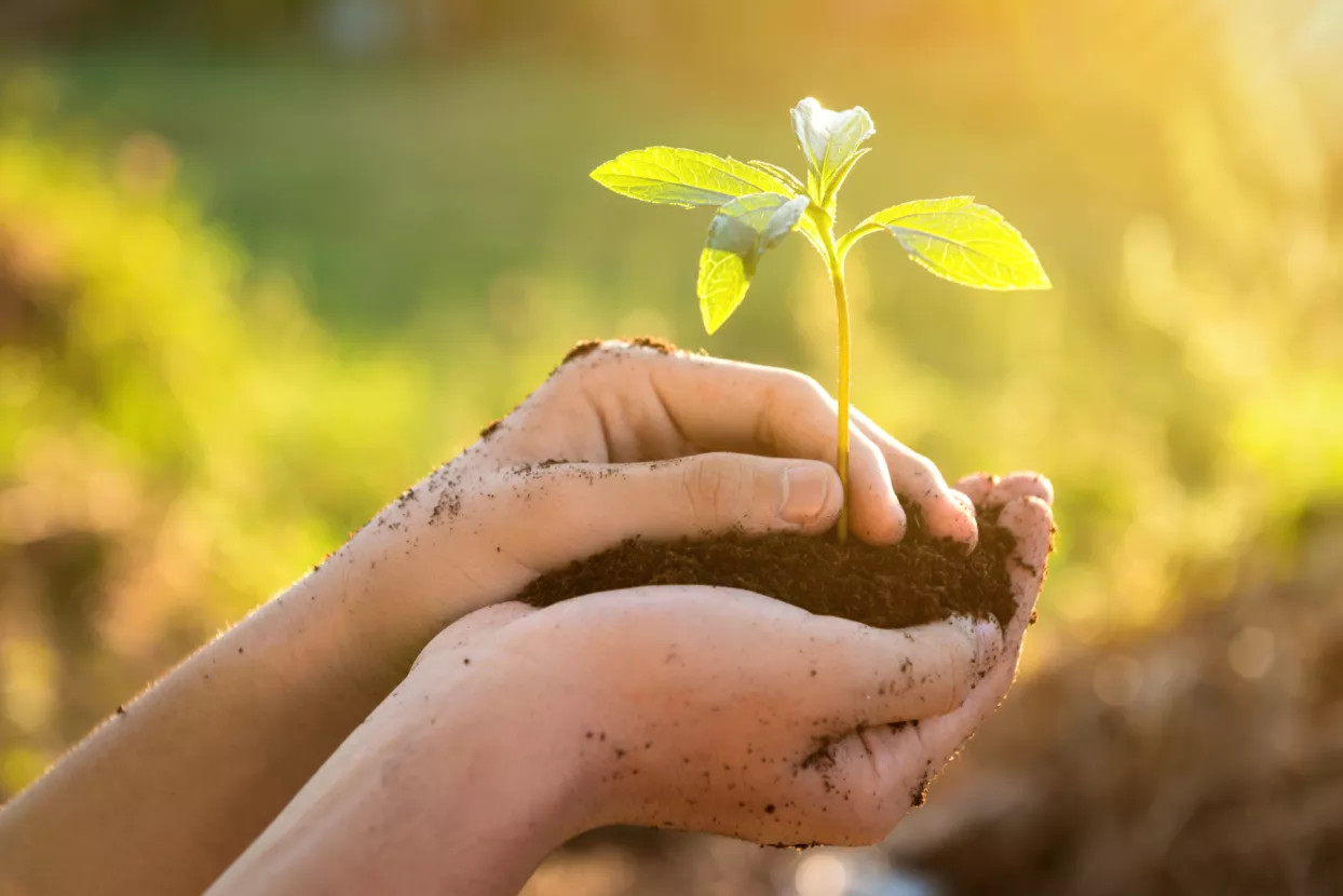 Fond 5.5: Dodijeljene potpore za održiv oporavak Banije
