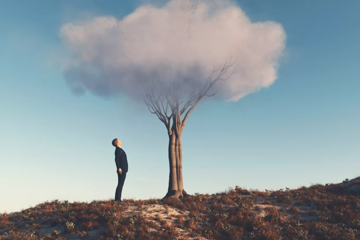 Zeleni podaci: Mnogo je praznih priča, malo punokrvnih dokaza o održivosti