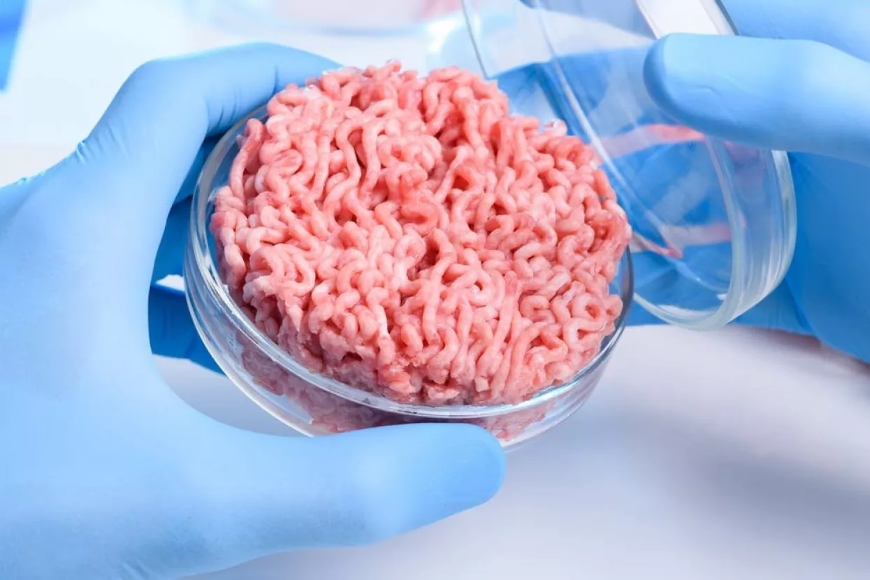 Proizvodnja uzgojenog mesa - Svjetski startupovi koji transformiraju naš prehrambeni sustav