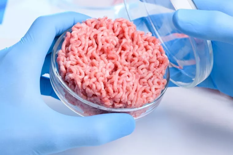 Proizvodnja uzgojenog mesa - Svjetski startupovi koji transformiraju naš prehrambeni sustav