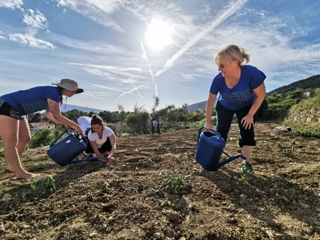 Bistro BioMania na Braču: Kako prava održivost izgleda u praksi