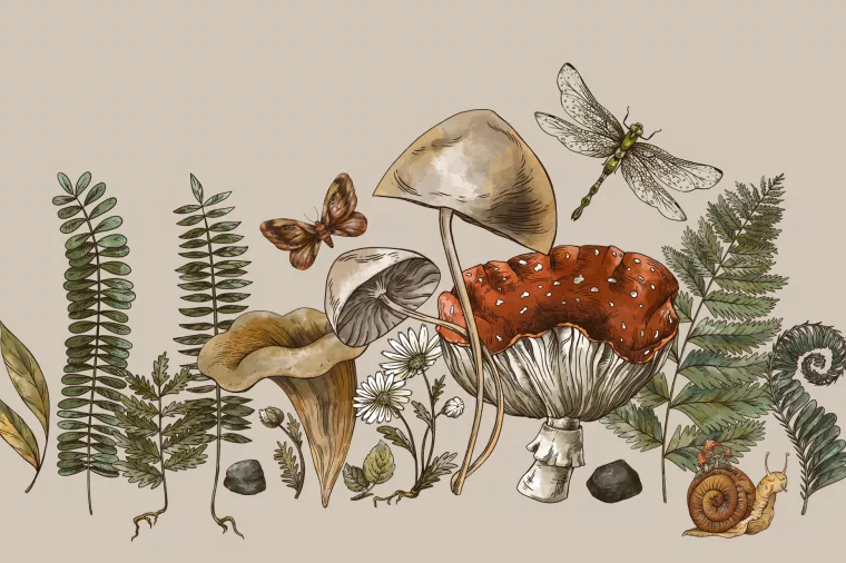 Goblincore - Mračna estetika koja slavi slobodu, autentičnost i - puževe