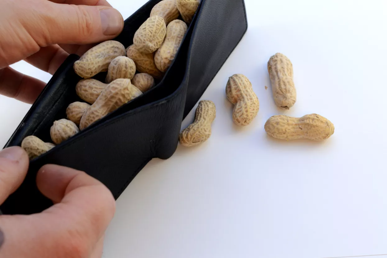 Rast cijena - Zašto su poskupljenja opasna čak i ako izbjegnemo hiperinflaciju