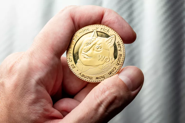 Frakcijski udjeli Doge memea sada zajedno vrijede stotine milijuna dolara