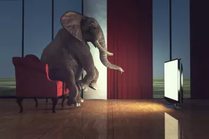 Neizbježni prijenos (uživo) i video (uvijek) - Strimo, ergo sum