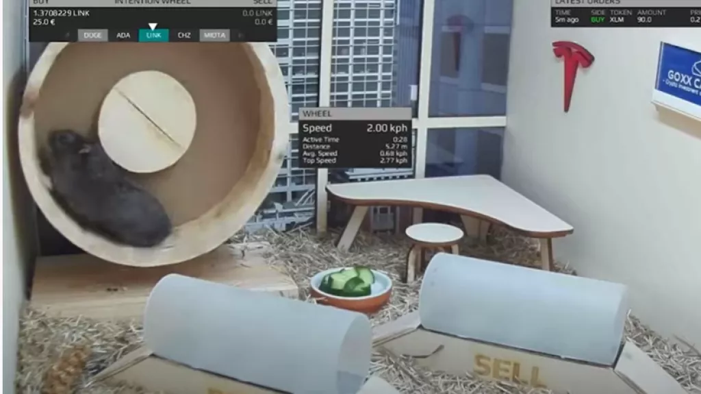 Saznajte zašto gospodin Goxx trguje kriptovalutama i zašto prolazi bolje od mnogih drugih ulagača