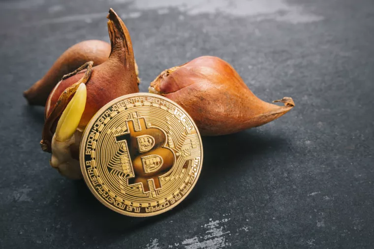 Usporedba bitcoina s tulipomanijom i dot-com balonom - istina ili apsurd?