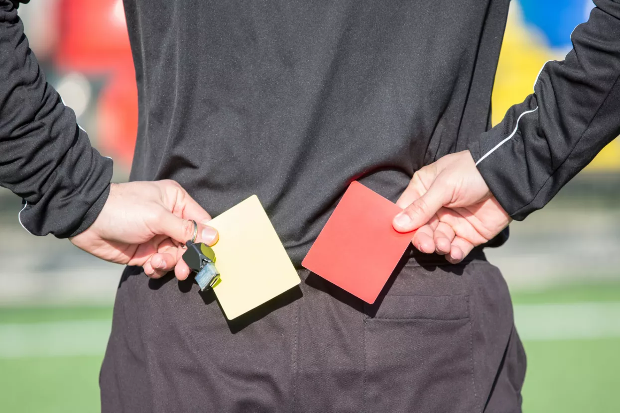 Edis Felić: Neka Porezna uprava sama utjeruje dug dužnika, a ne honorarci