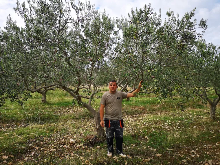 Kako poljoprivrednici u Ravnim kotarima planiraju profitirati 'zarobljavajući' CO2 i prodajući ga na burzi