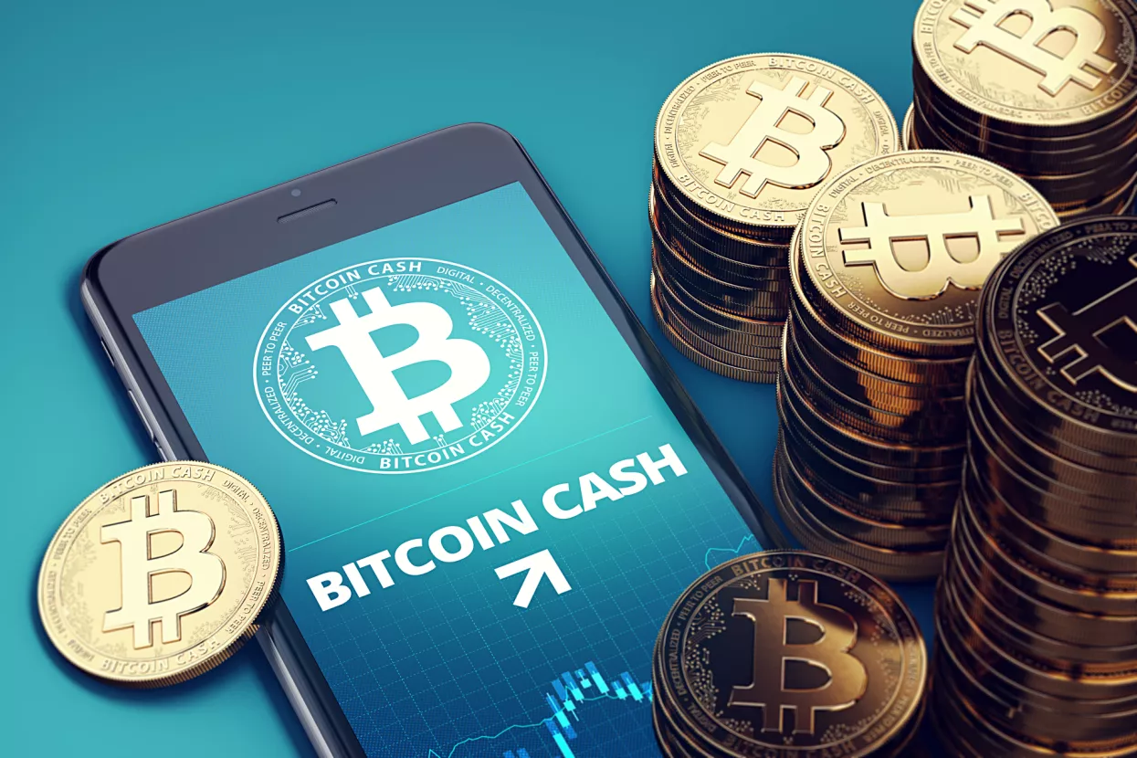 Bitcoin cash - Što utječe na njegovu cijenu?