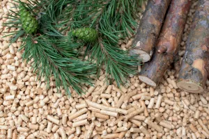 Biomasa - skriveni dragulj zelene tranzicije