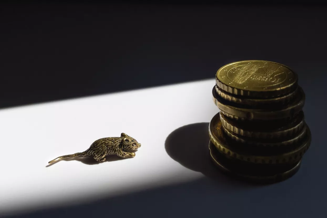 Nuspojava korone - Pandemija (privremeno) primirila sivu ekonomiju