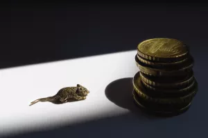 Nuspojava korone - Pandemija (privremeno) primirila sivu ekonomiju