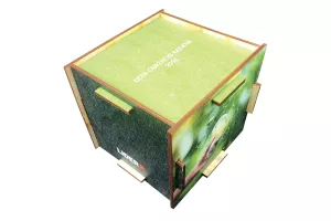 Tko su prvi lideri održivog razvoja?