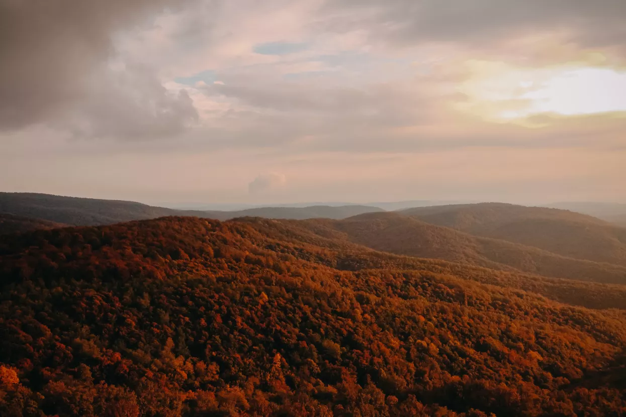 Moslavačka gora: Prirodni potencijal i kapital zanimljiv budućim investitorima