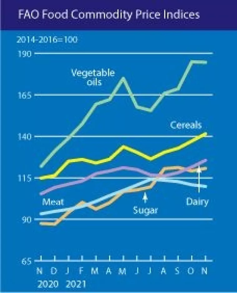 Volatilan tjedan na robnim burzama: Rasprodaja u svim sektorima, od energije do ulja i žitarica