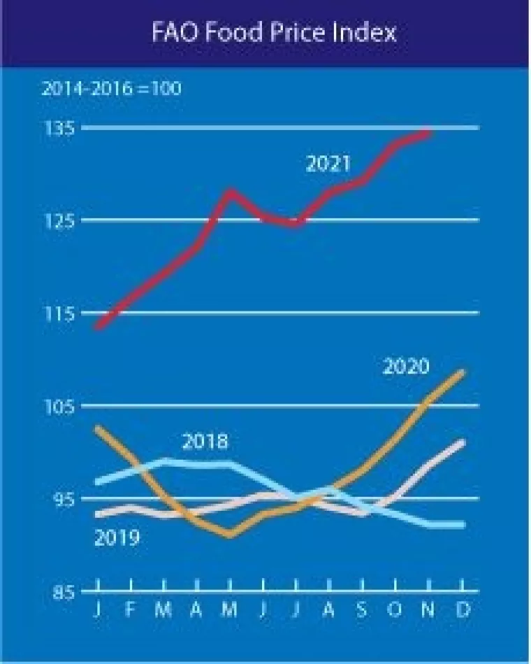 Volatilan tjedan na robnim burzama: Rasprodaja u svim sektorima, od energije do ulja i žitarica