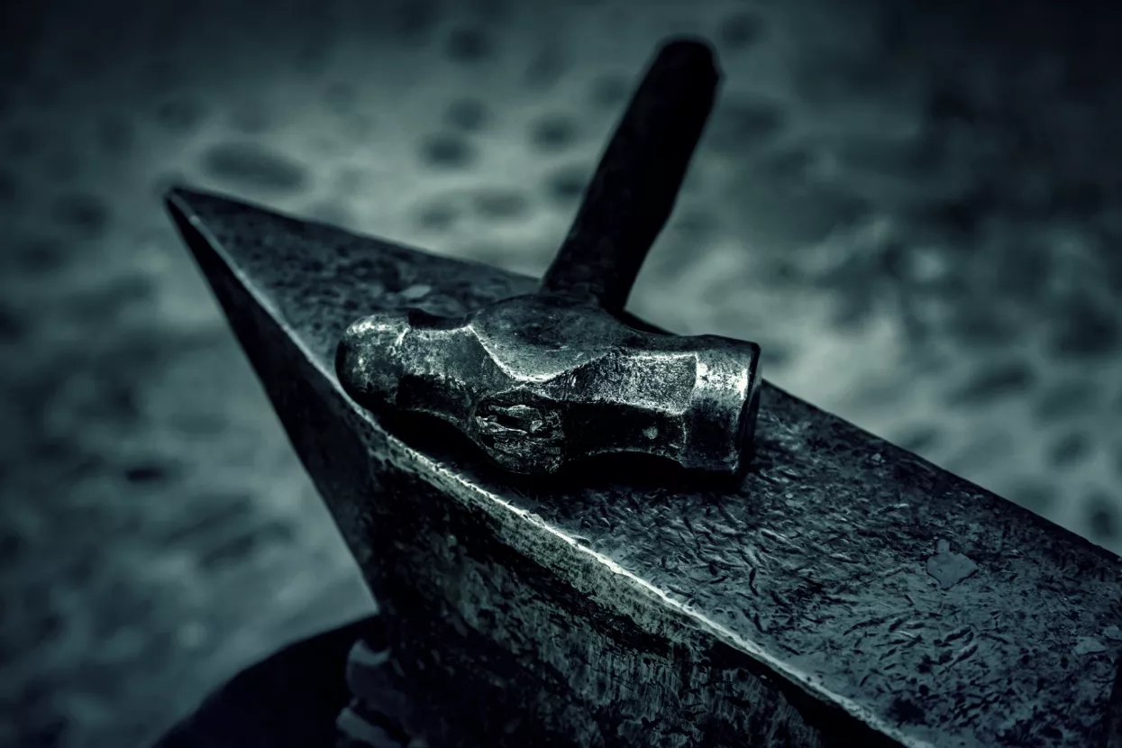 Miodrag Šajatović: Biznis između čekića i nakovnja &ndash; inflacije i recesije