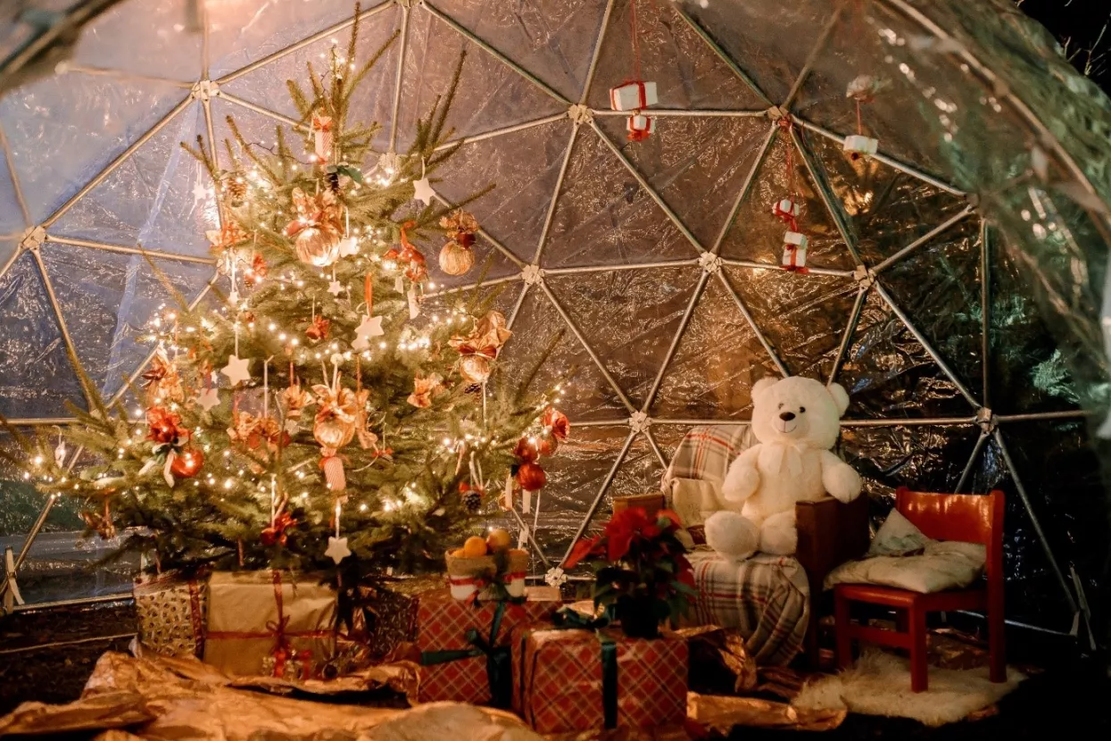 Božićna čarolija 2021.