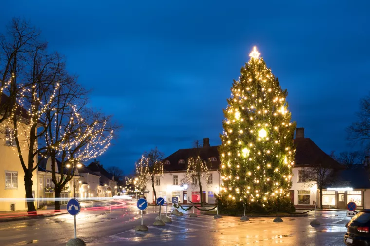 Kružna ekonomija na djelu: Estonci božićna drvca pretvaraju u tonik