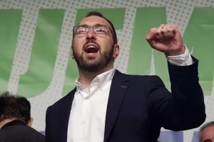 Miodrag Šajatović: Medeni kvartal Tomislava Tomaševića