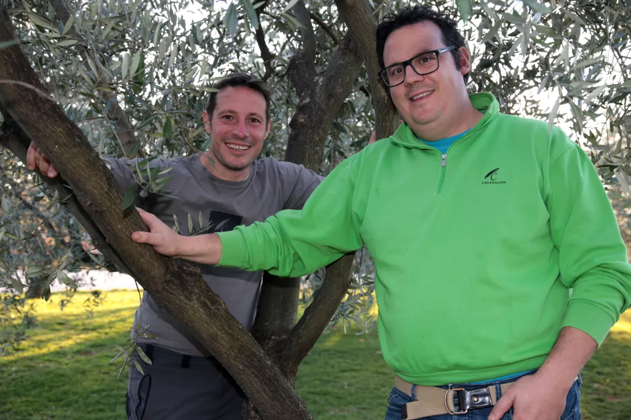 Braća Chiavalon: Triput su nas progla&scaron;avali ludima, ali ba&scaron; zato smo uspjeli s maslinovim uljem