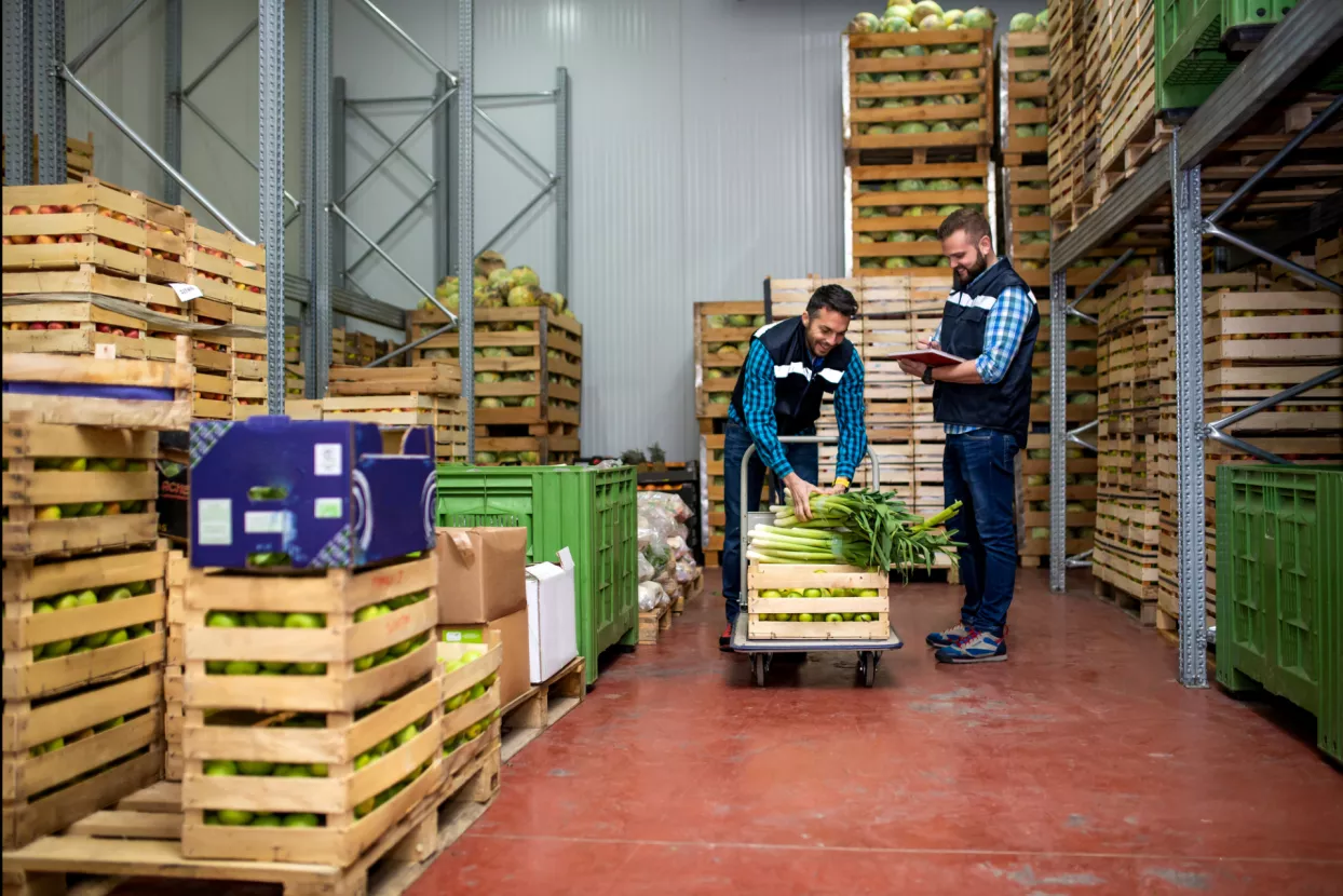 Edis Felić: Školska shema - kriterij blizine skladišta treba dopuniti blizinom proizvodnje