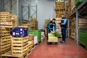 Edis Felić: Školska shema - kriterij blizine skladišta treba dopuniti blizinom proizvodnje