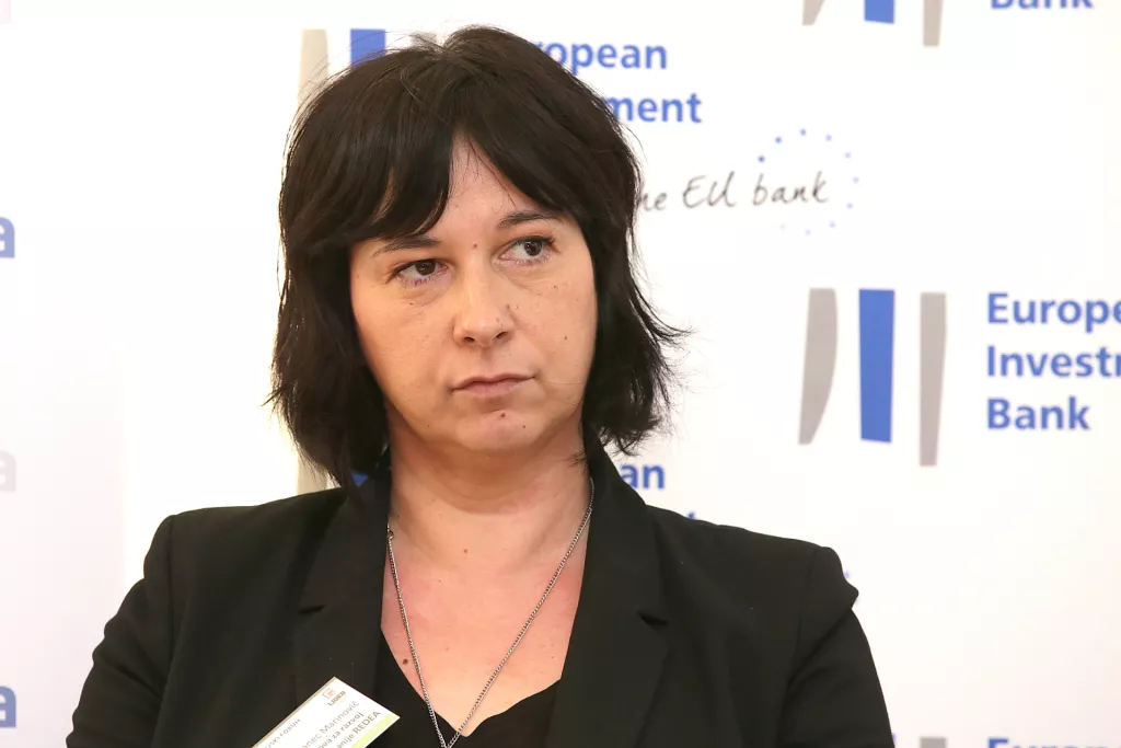 Kako će izgledati industrijska tranzicija u Hrvatskoj i zašto poduzetnici svih regija mogu biti zadovoljni