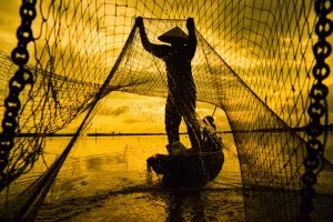 Upravljanje podacima: U isušenu podatkovnu močvaru bačena je mreža