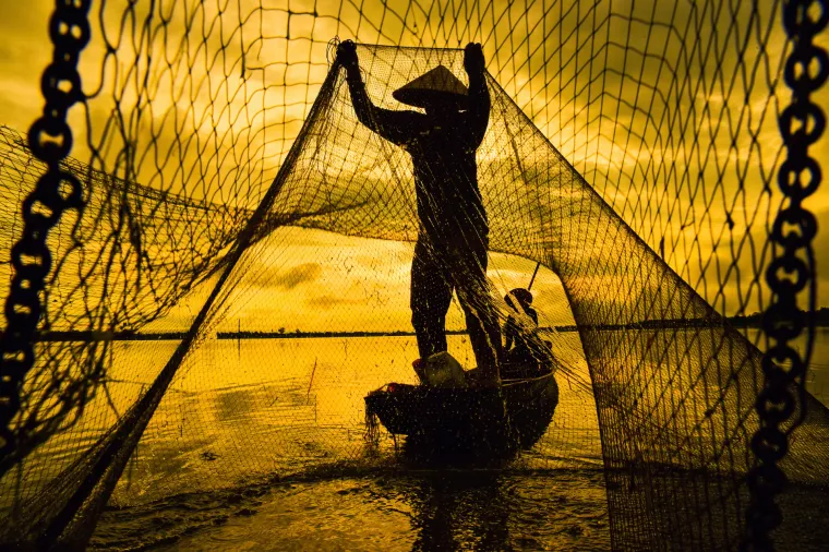 Upravljanje podacima: U isušenu podatkovnu močvaru bačena je mreža